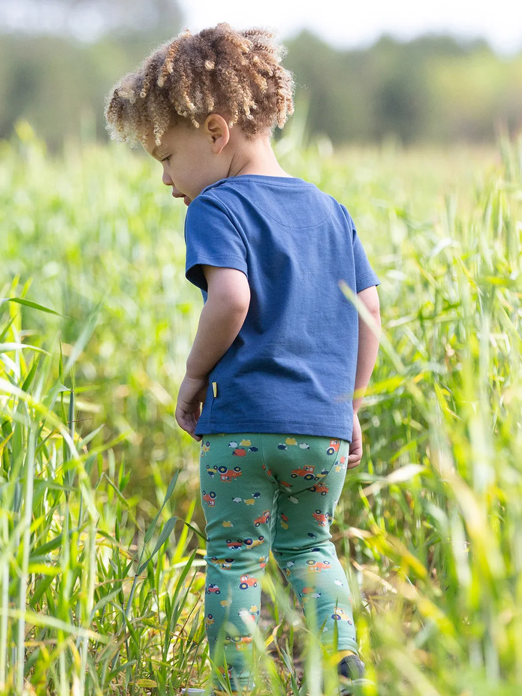 Farmer Baa Baa leggings